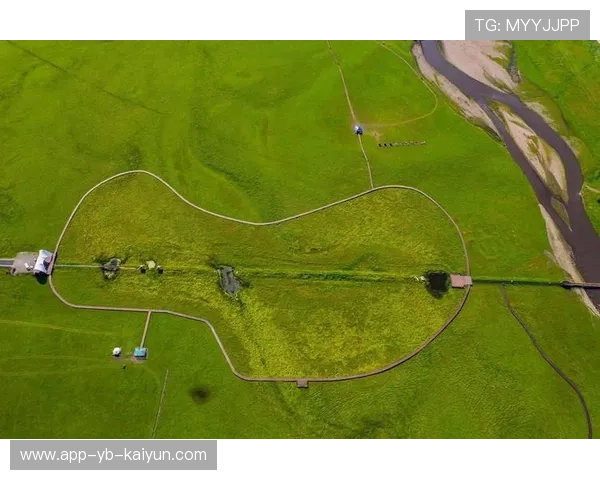 克罗地亚马术协会引入智能马鞍系统，实现实时数据监测与分析，提升骑乘体验。