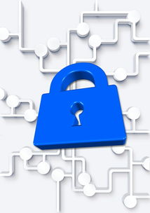 开云体育入口-高校体育社团管理数字化平台构建方案，全国性体育社团