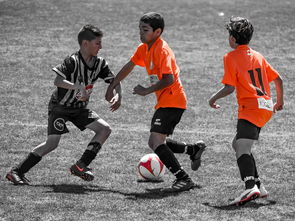 开云电竞-NBA最佳新秀竞争激烈 三人数据旗鼓相当,nba最佳新秀含金量