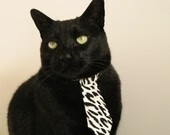 开云网址-体育明星演讲活动鼓励青少年奋斗,体育励志演讲