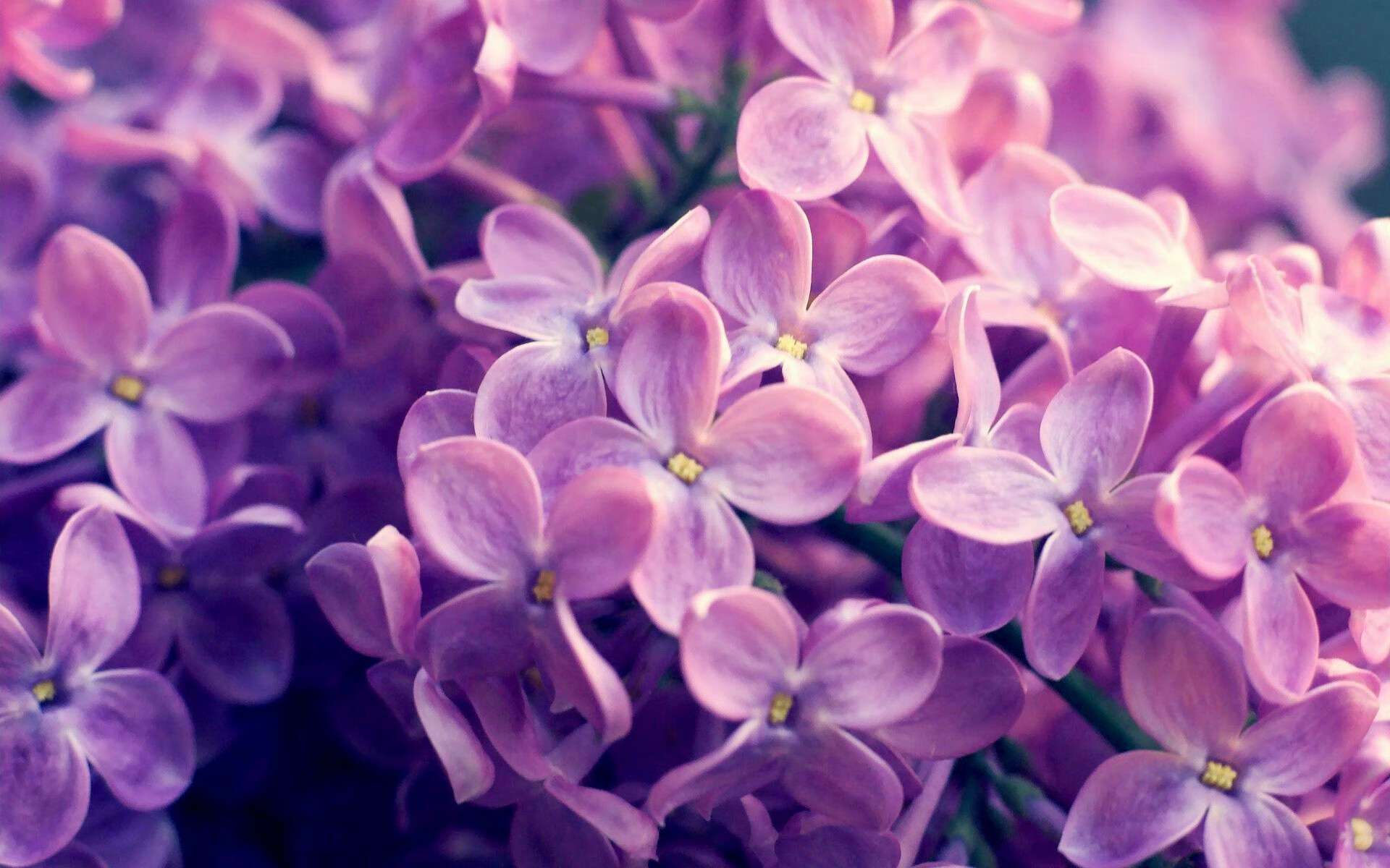 开云体育平台-沃尔夫斯堡稳守反击战术执行到位,沃尔夫斯堡最新阵容