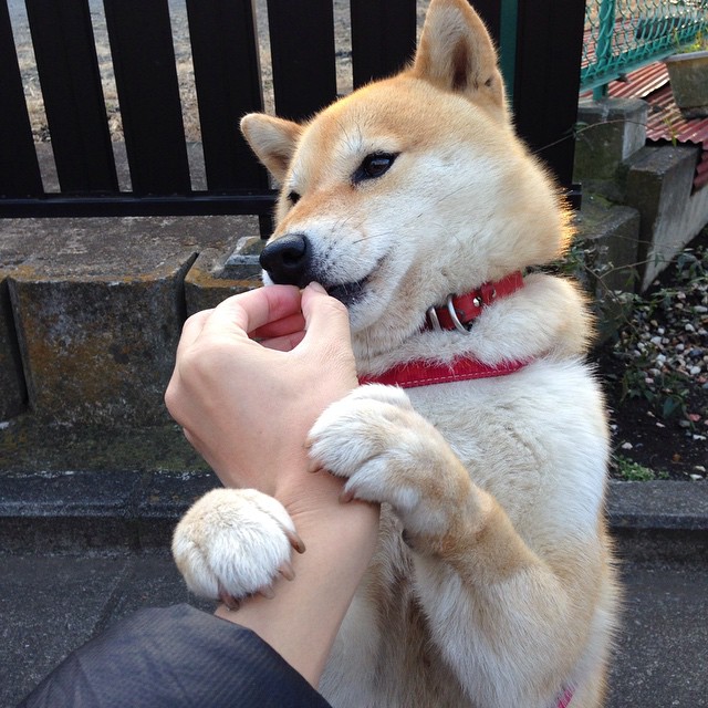 开云官方网页登录-“萨尔·巴赫在南非队的领导地位稳步上升”